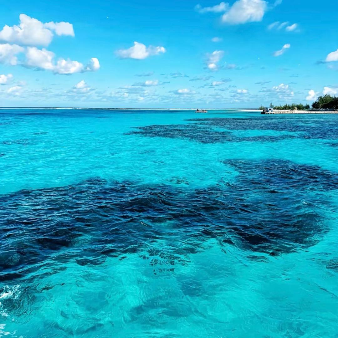 淘金水👑🌊