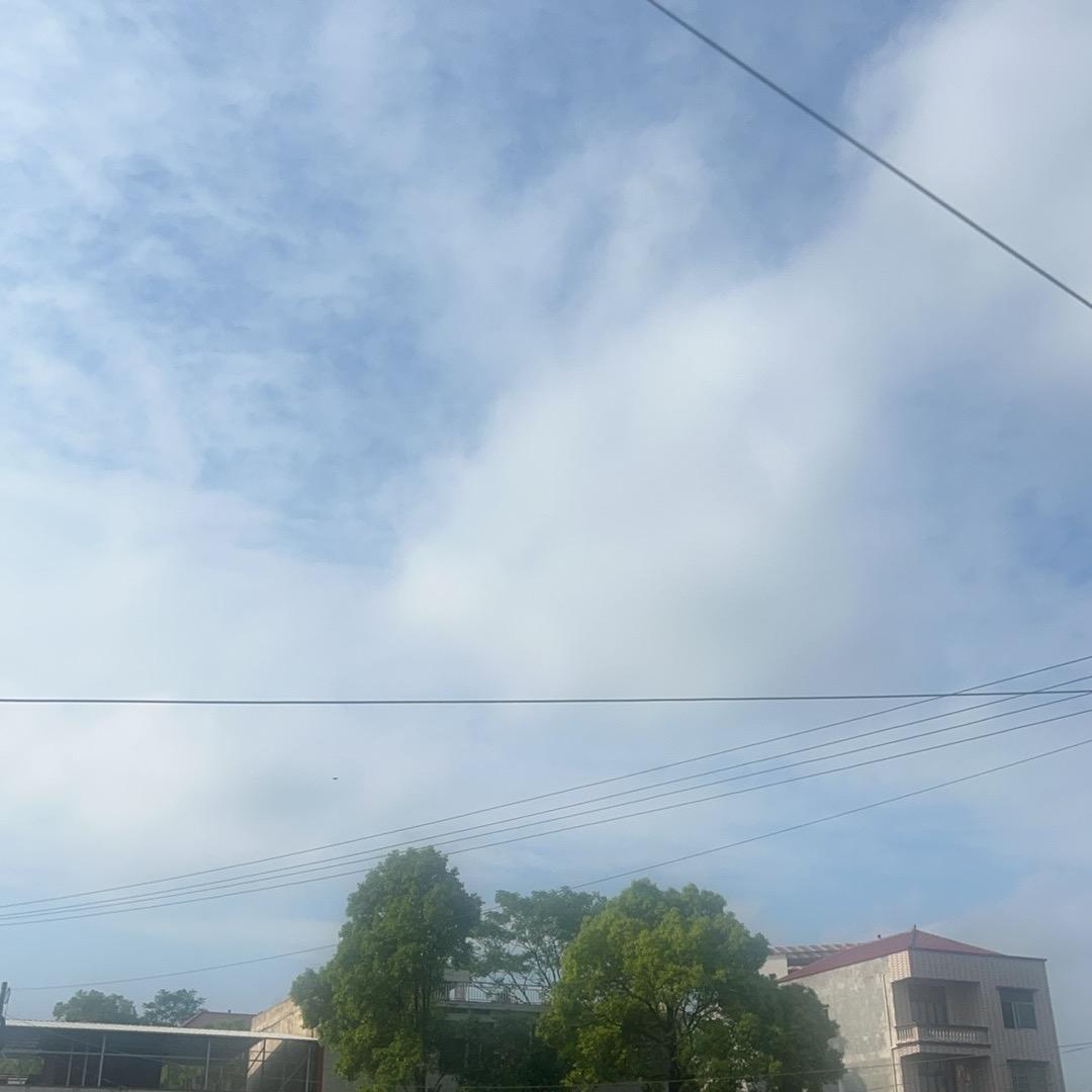 重生之我在放生
