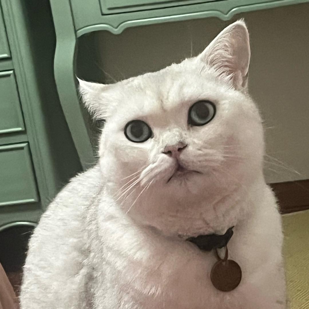 励志做独当一面的大女主