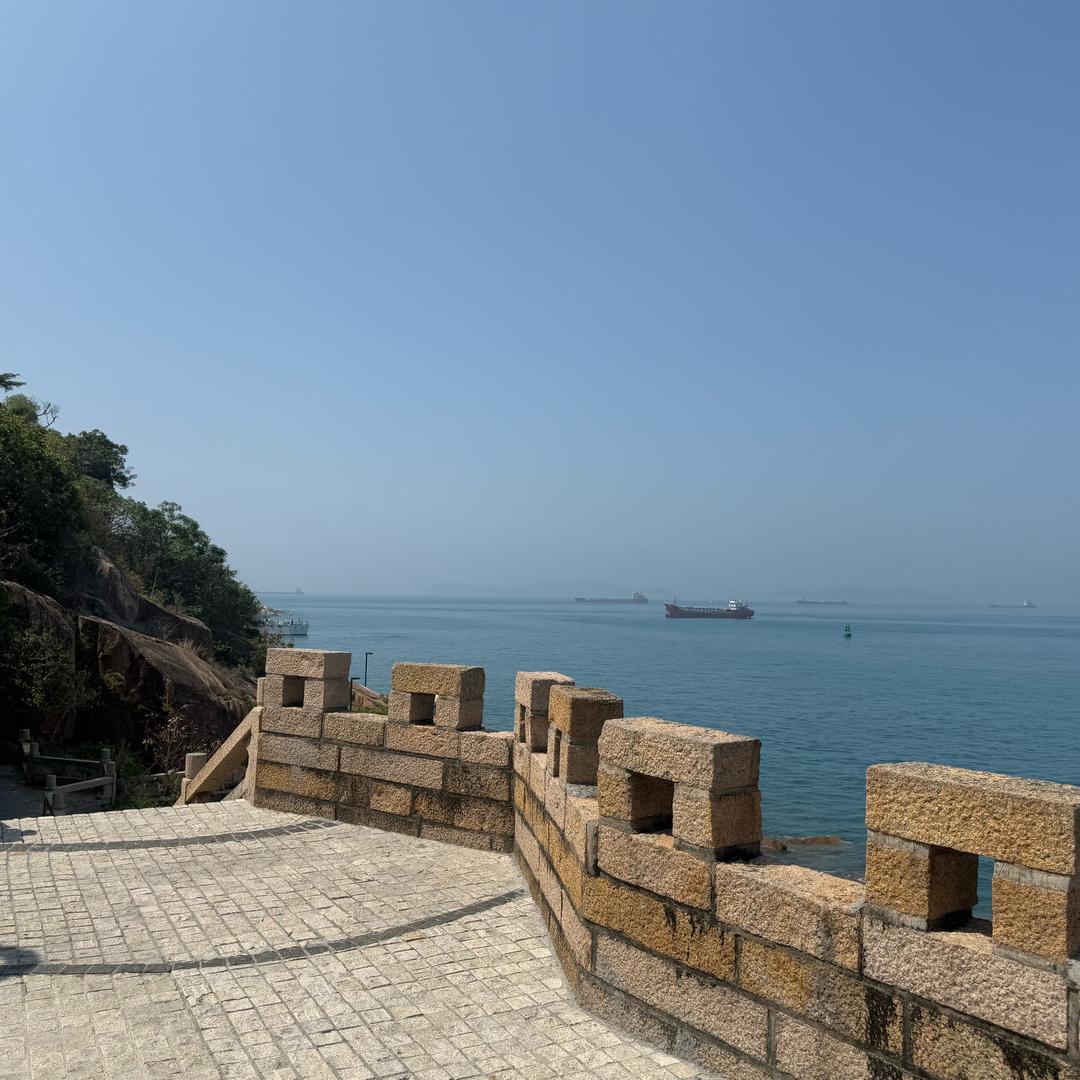 一身反骨，依旧不忘，菜菜点菜