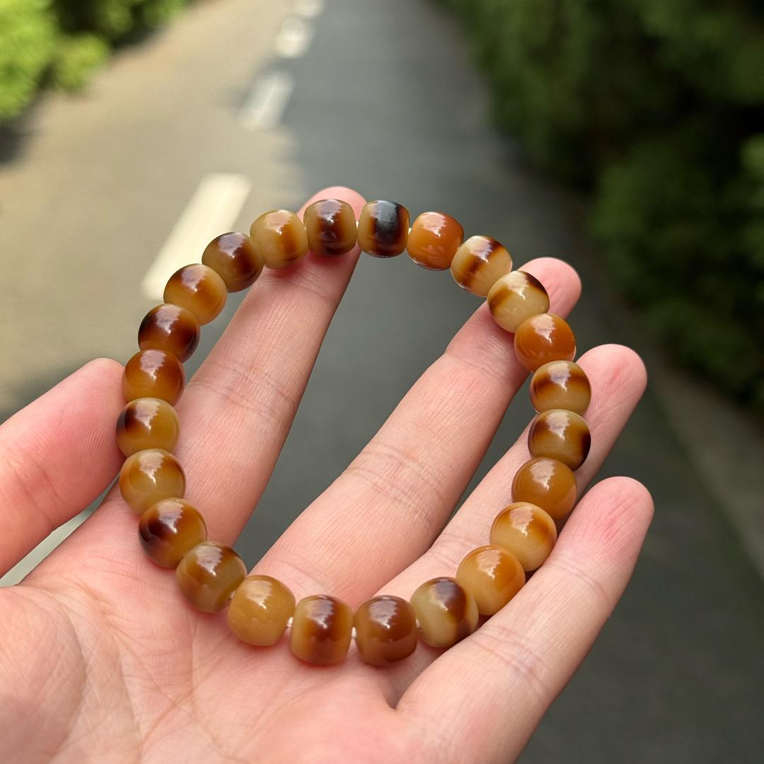 静静的菩提
