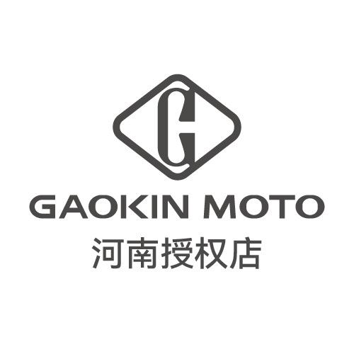 GAOKINMOTO高金动力-河南授权店