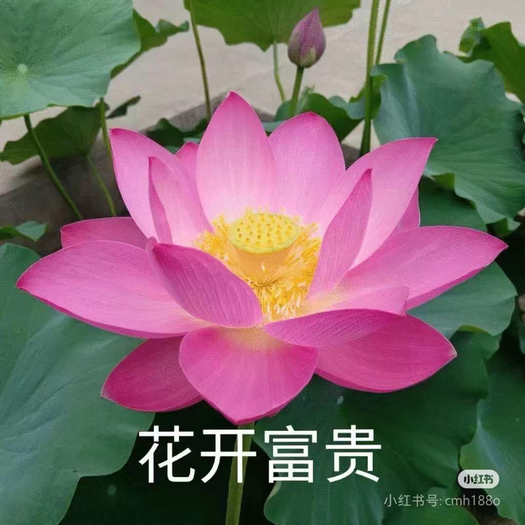 榆木川
