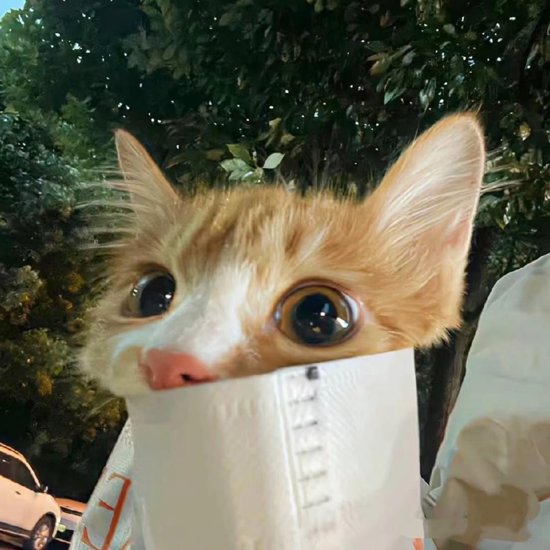 11.