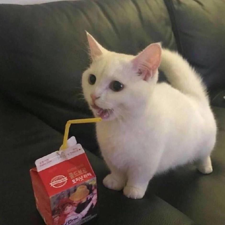 清尘