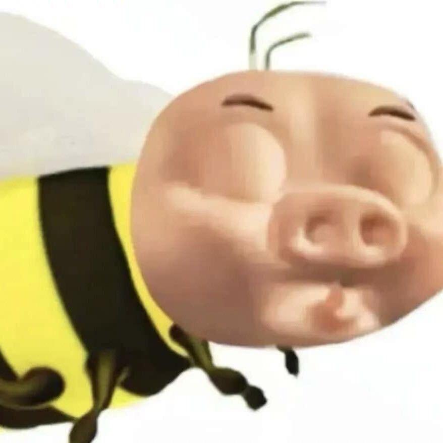 Zzzzzzzz