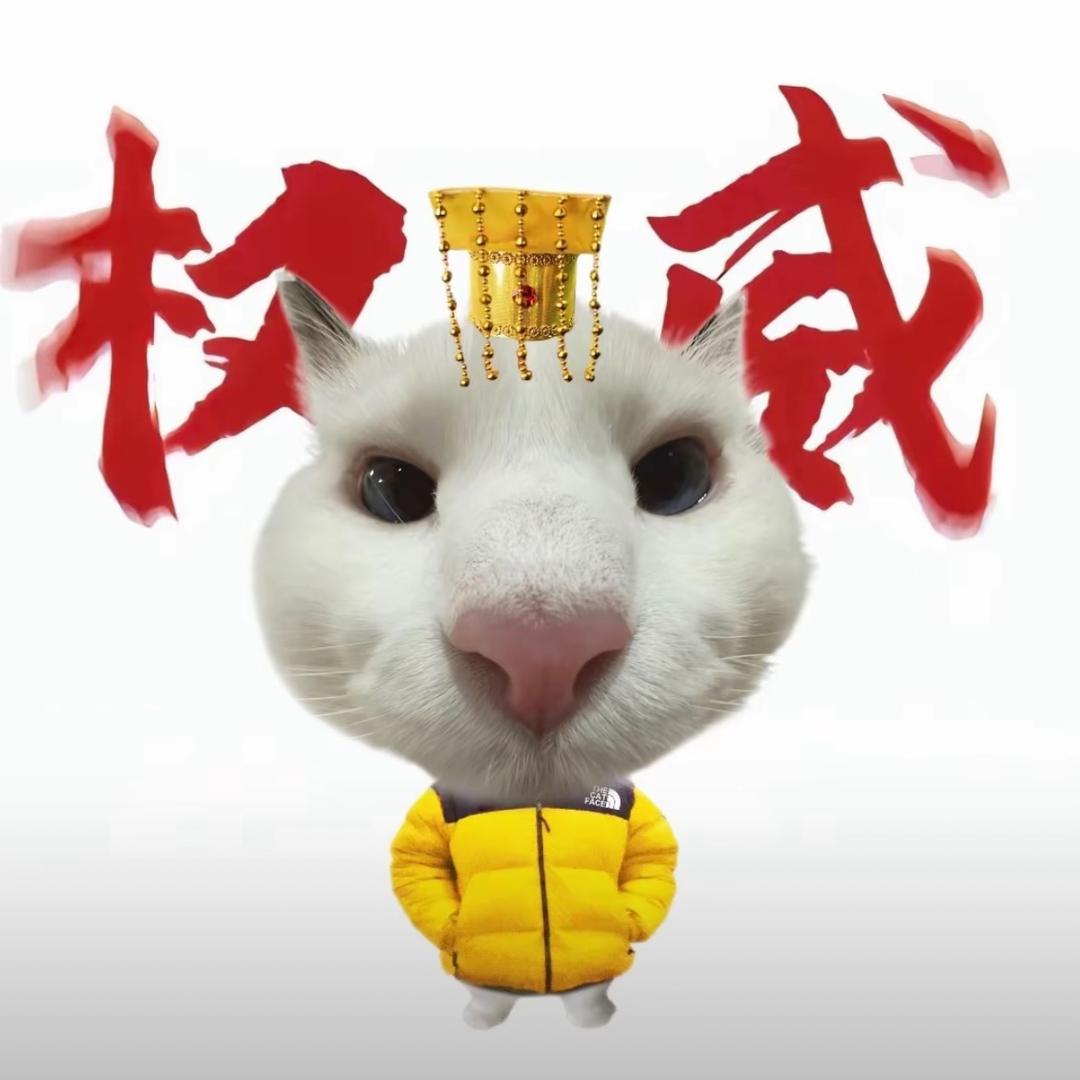 深情小美