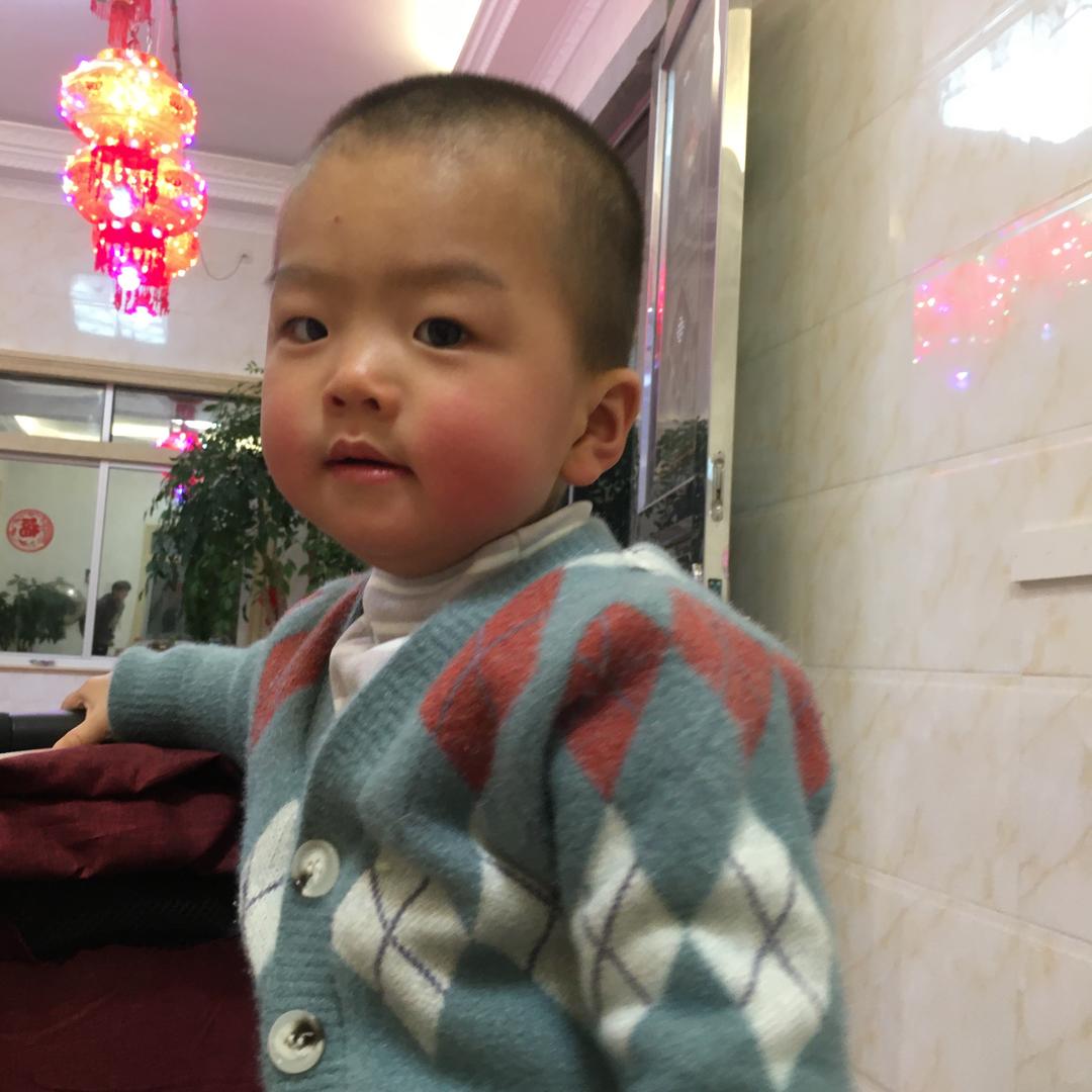 鲲鲲鹏鹏