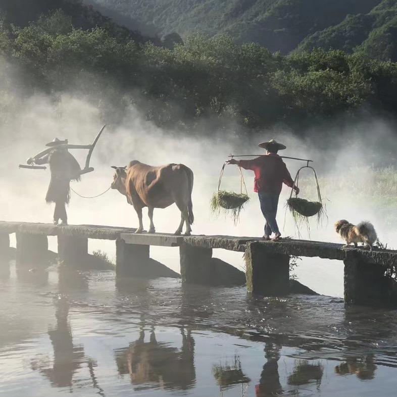 寻游山河