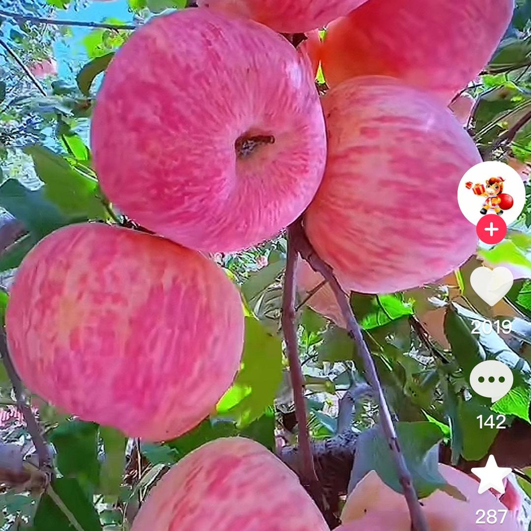 用户6299559221261