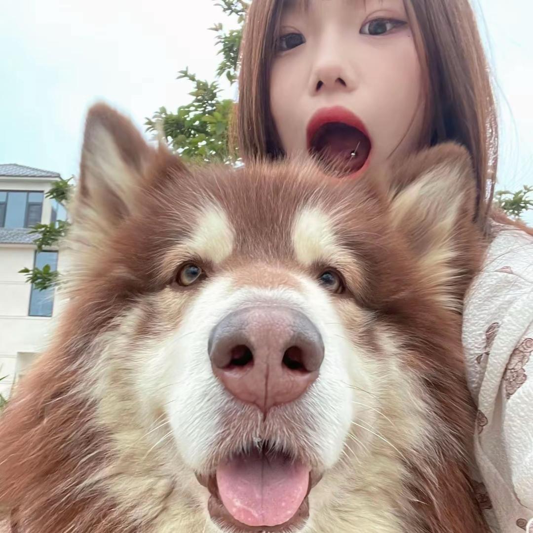 好昵称