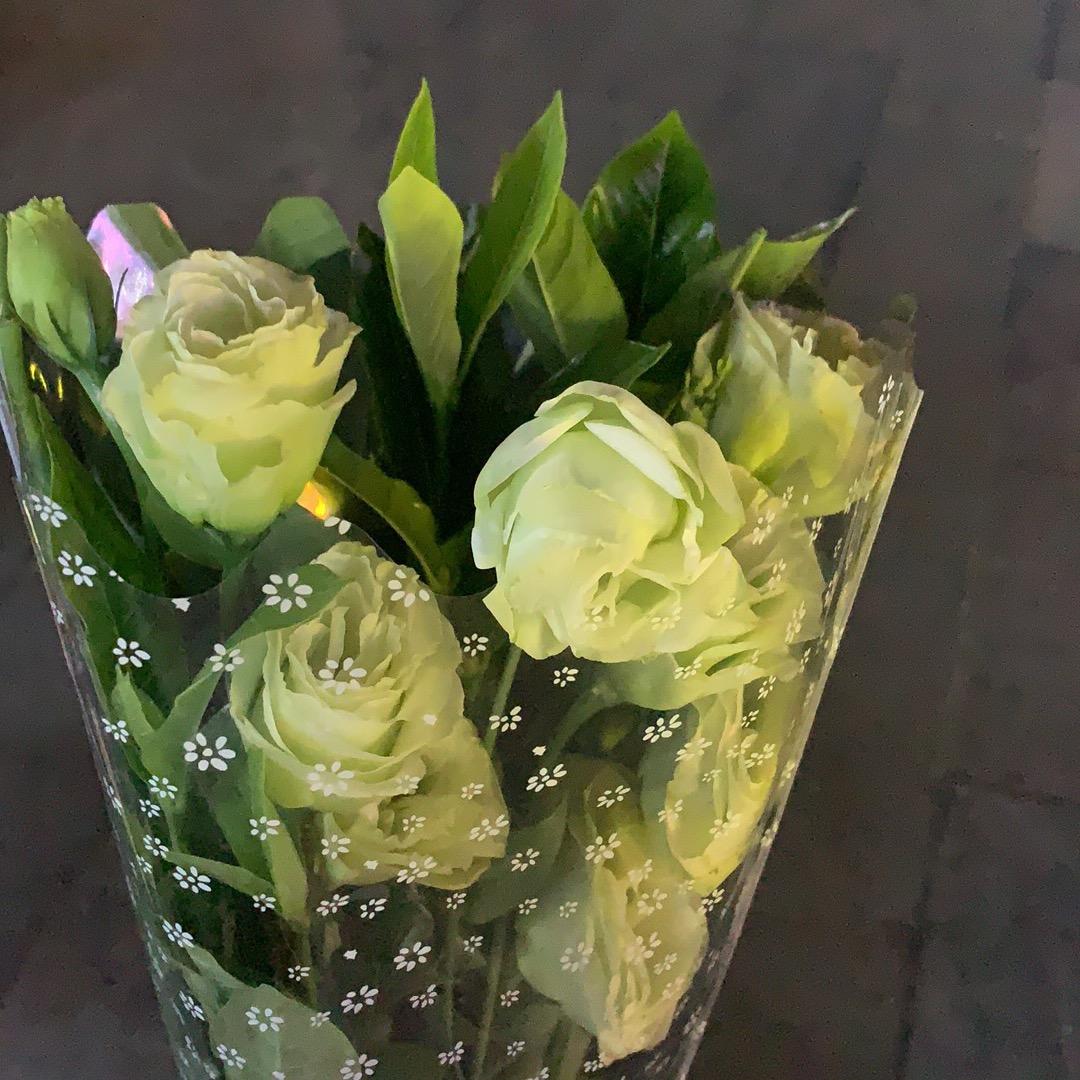 热情沙漠的一把火