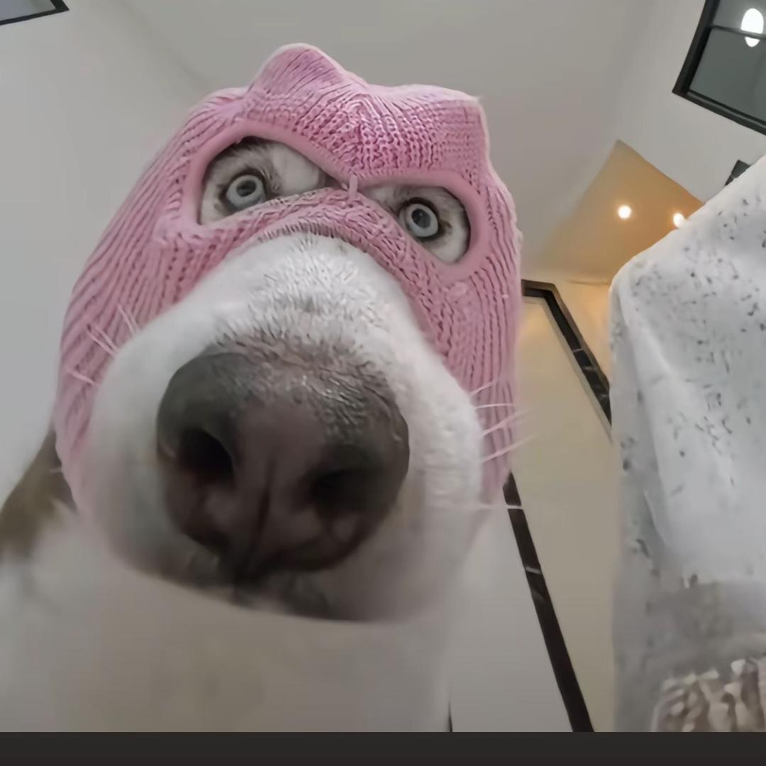 心动