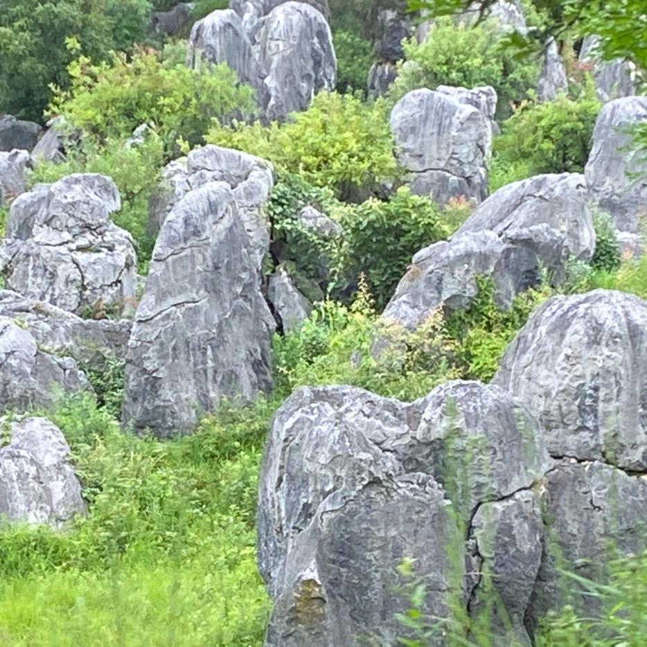 思念的雨露