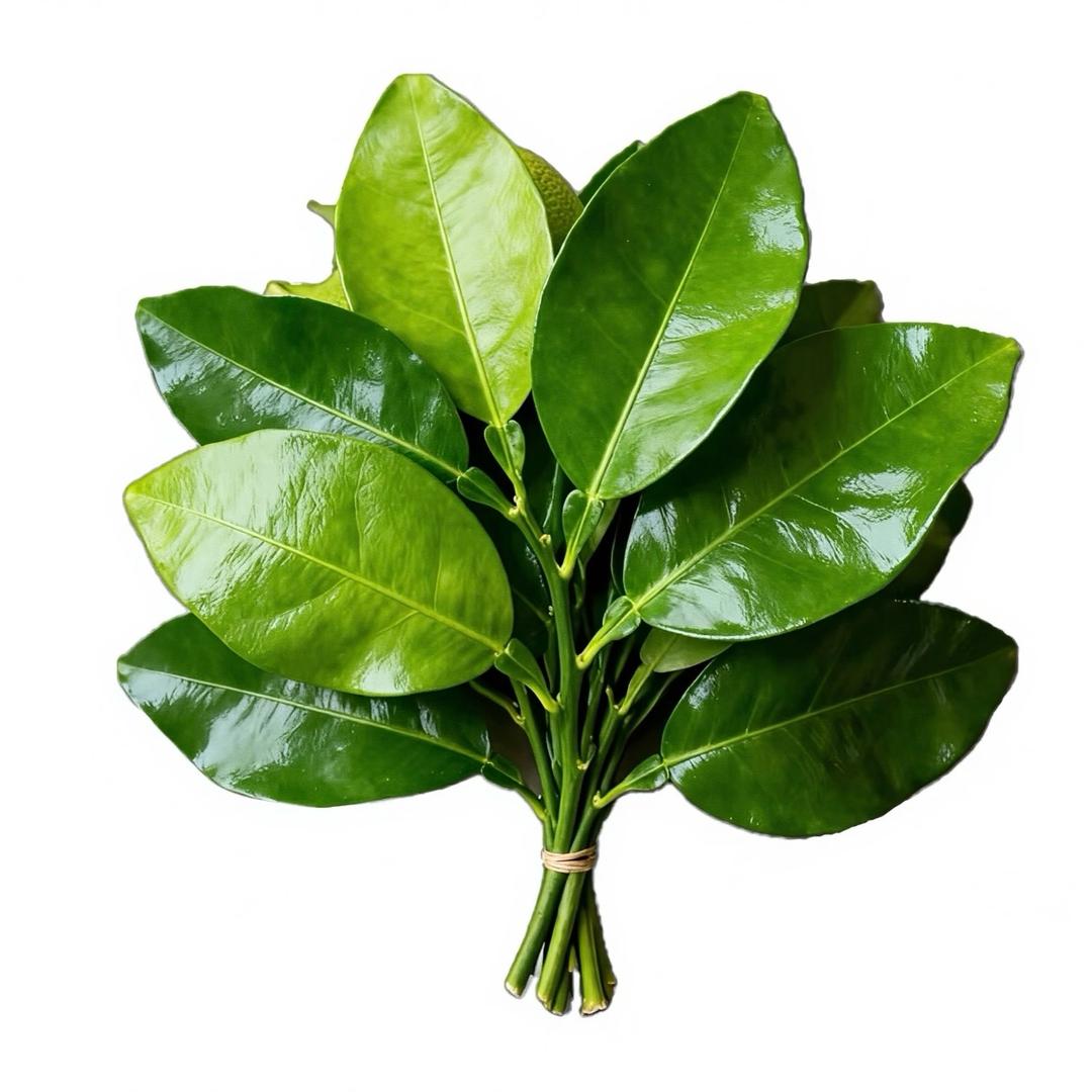 ᥫᩣ 筱筱
