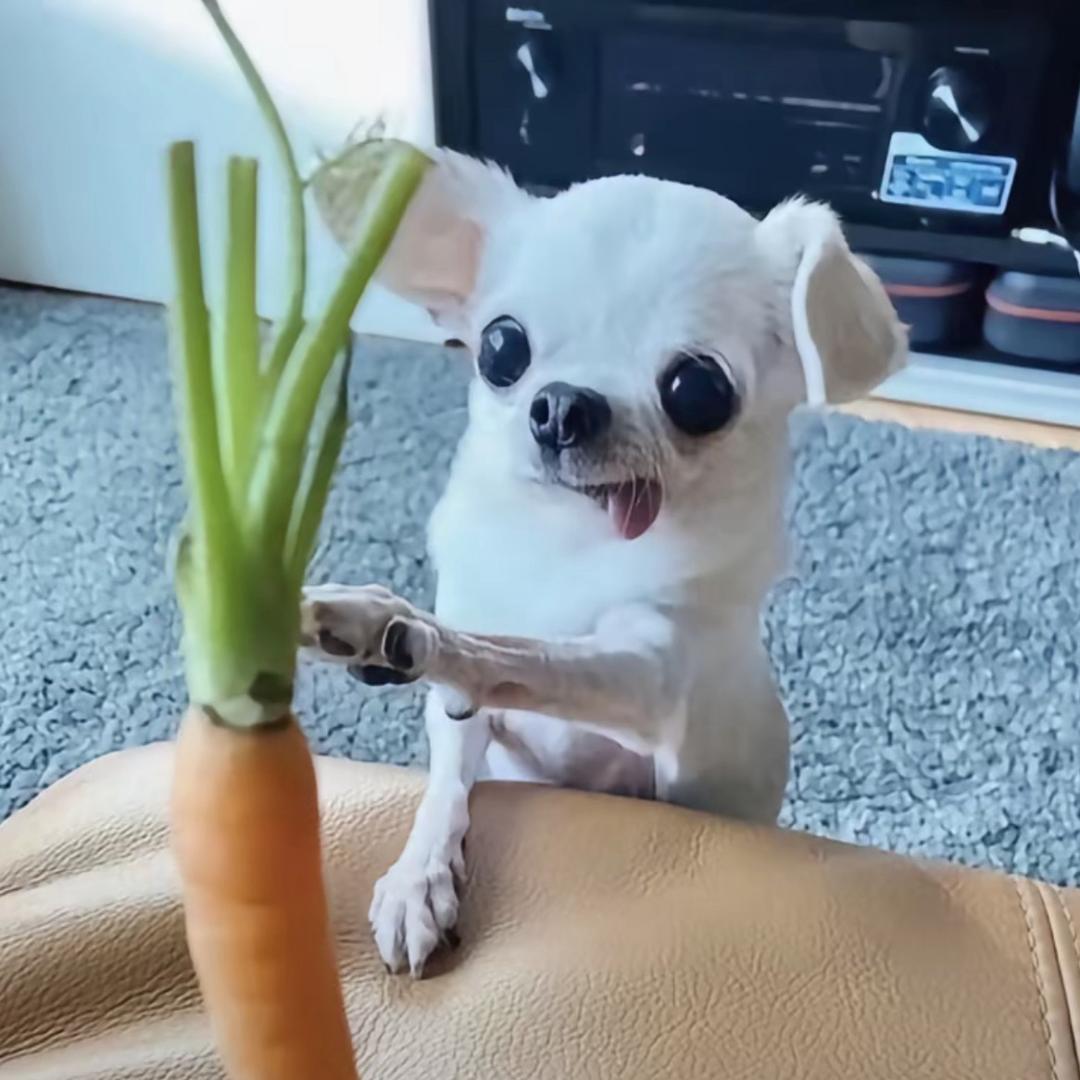 薯汁蘸点薯条吃掉