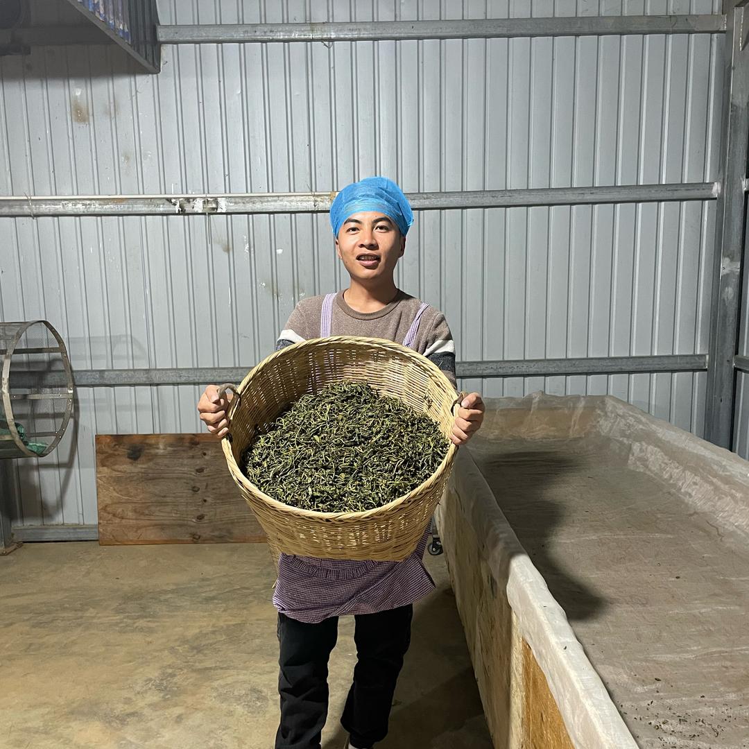 茶农 大表弟