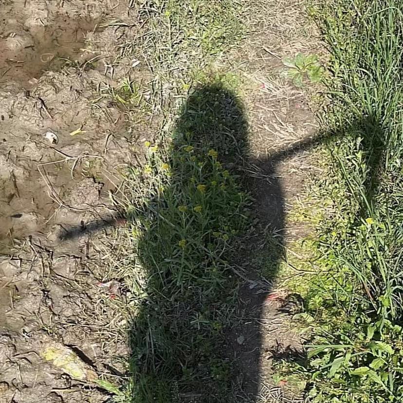 重生后我在农村麻包谷