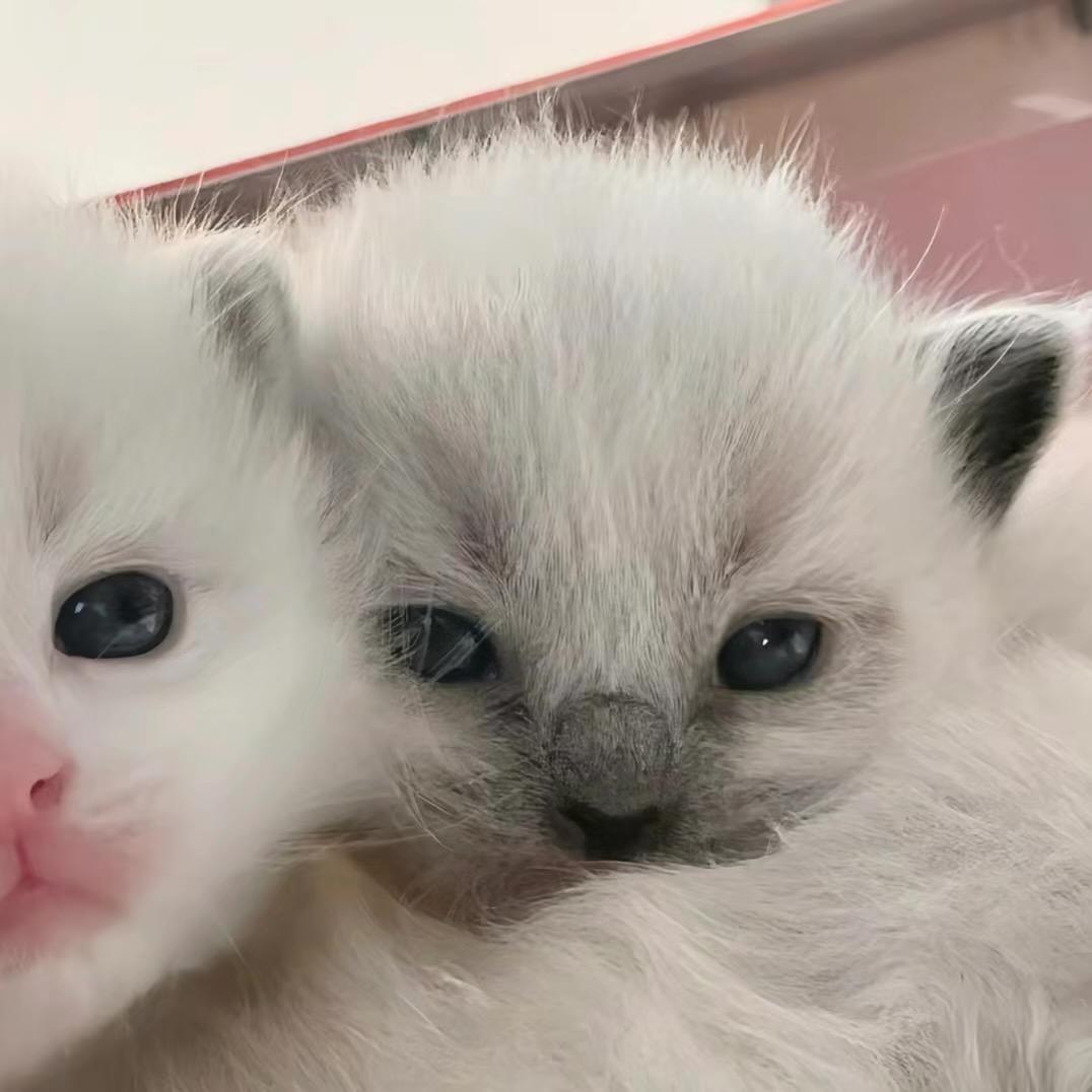 要让世界充满爱