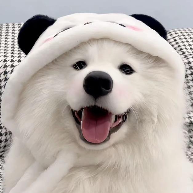 ૮・ᴥ - ა ˗ˋˏ🐶ˎˊ˗