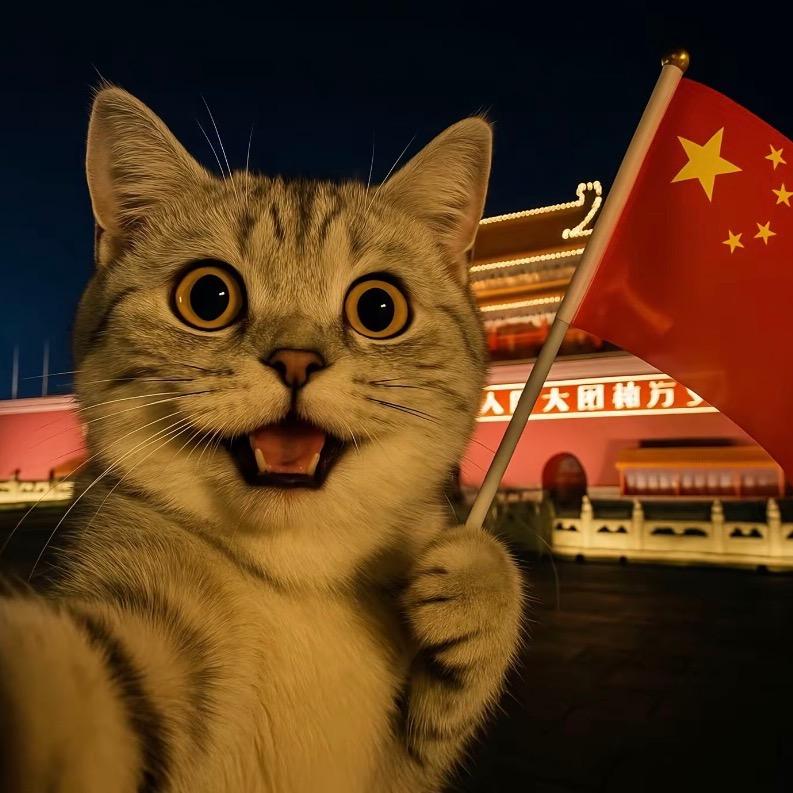 小猫剧场