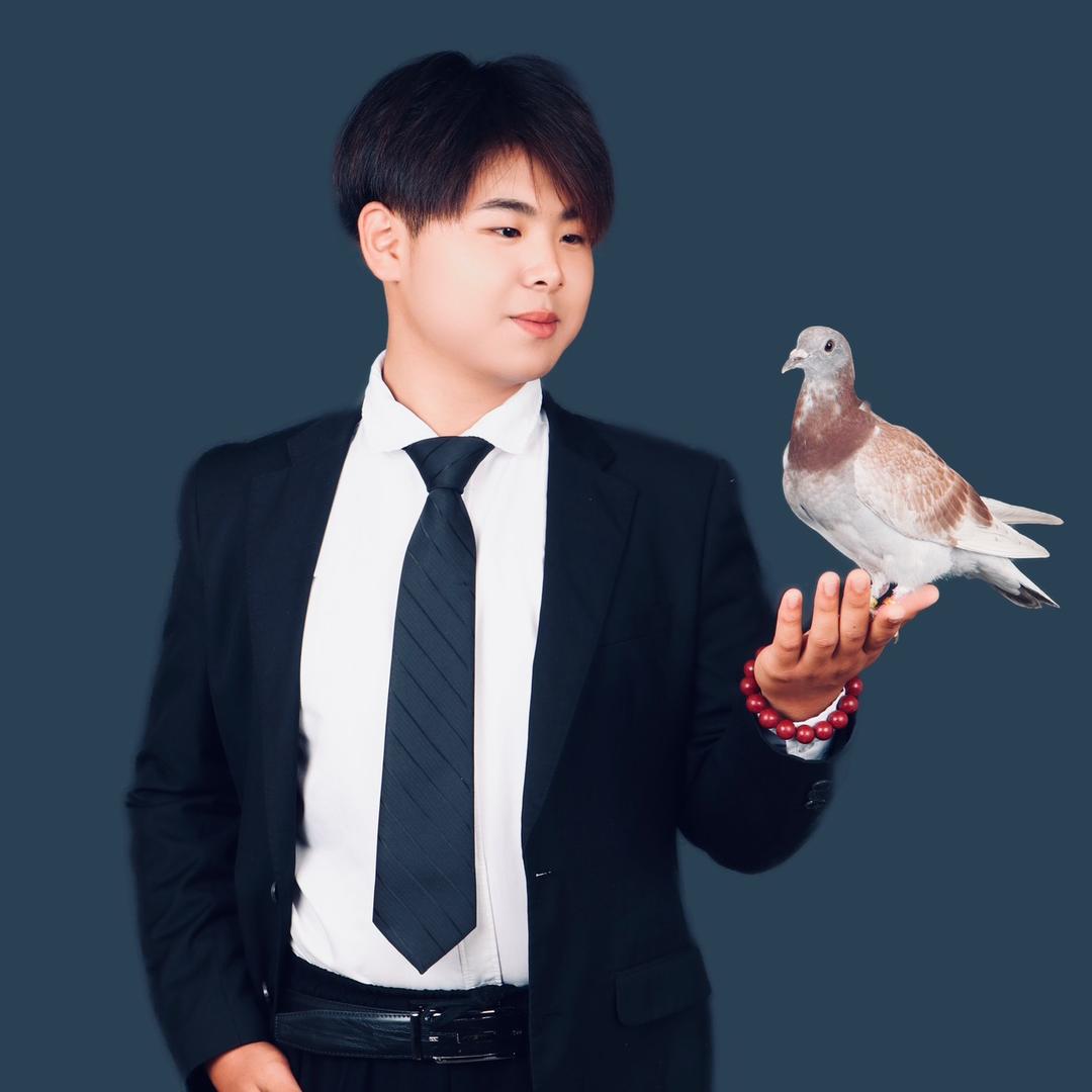 俊昊鸽子盘飞