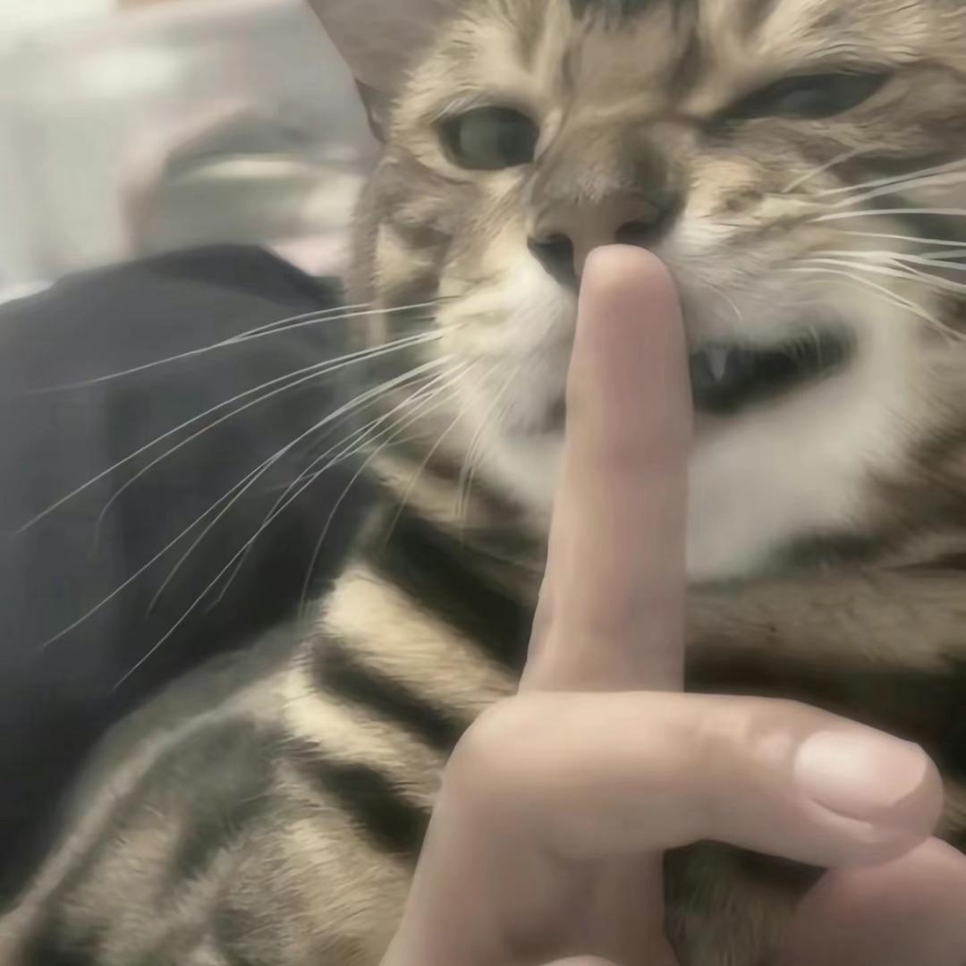 超牛牛