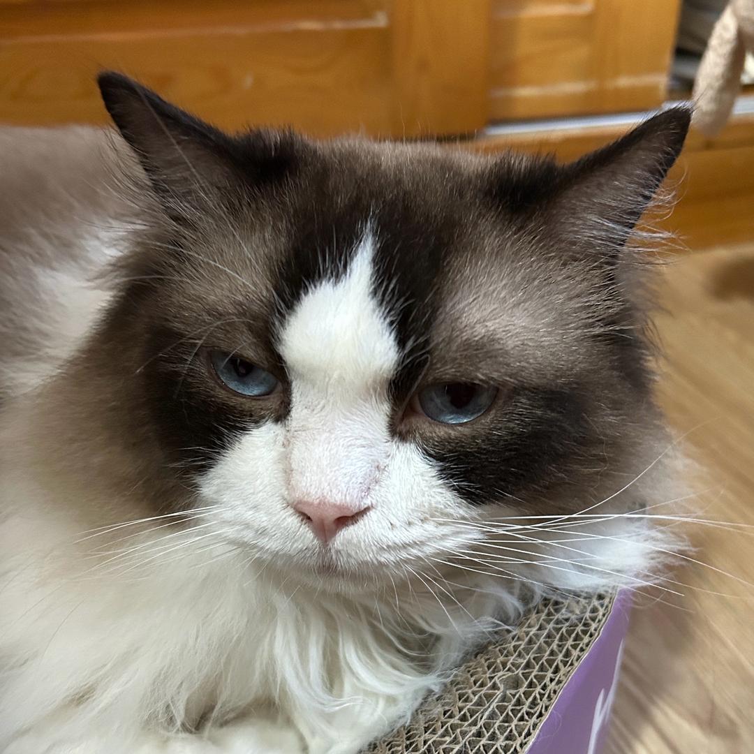 小發