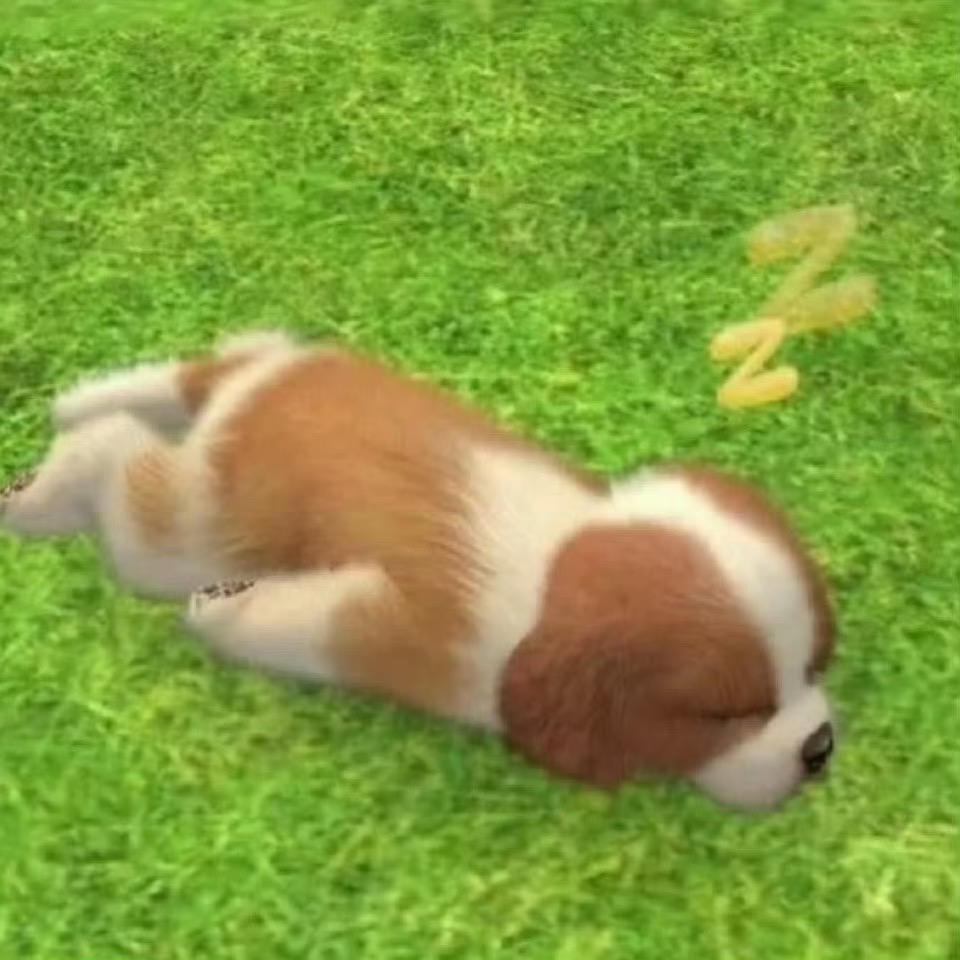 番茄酱五毛钱三罐