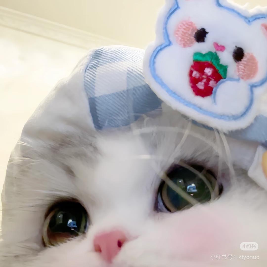 淼淼