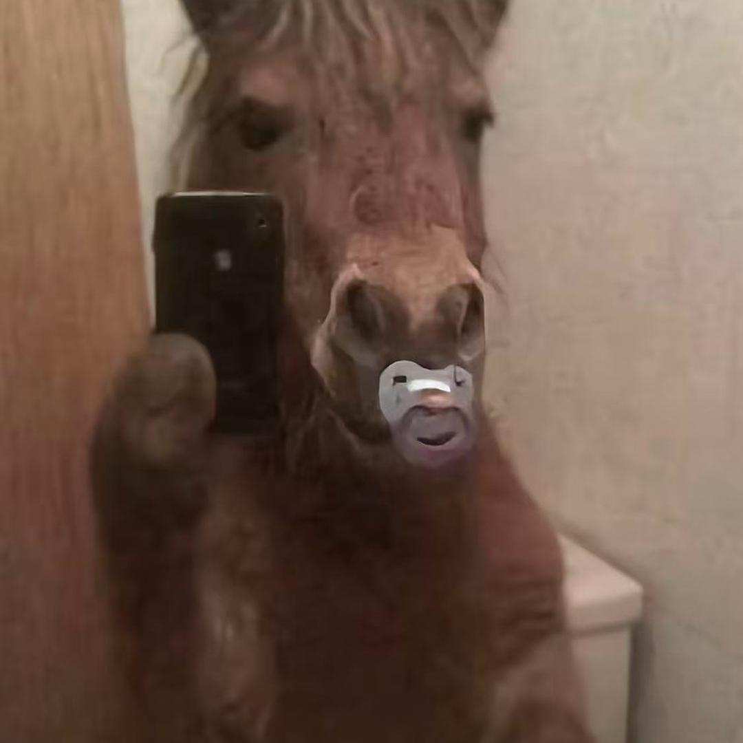 广志（一匹骏马）