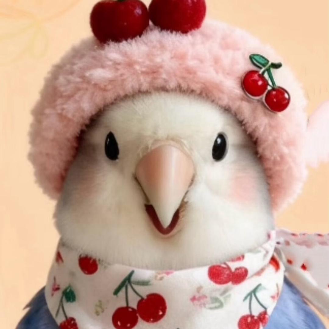 🌈多小鱼🦜🌈💫💫❀°