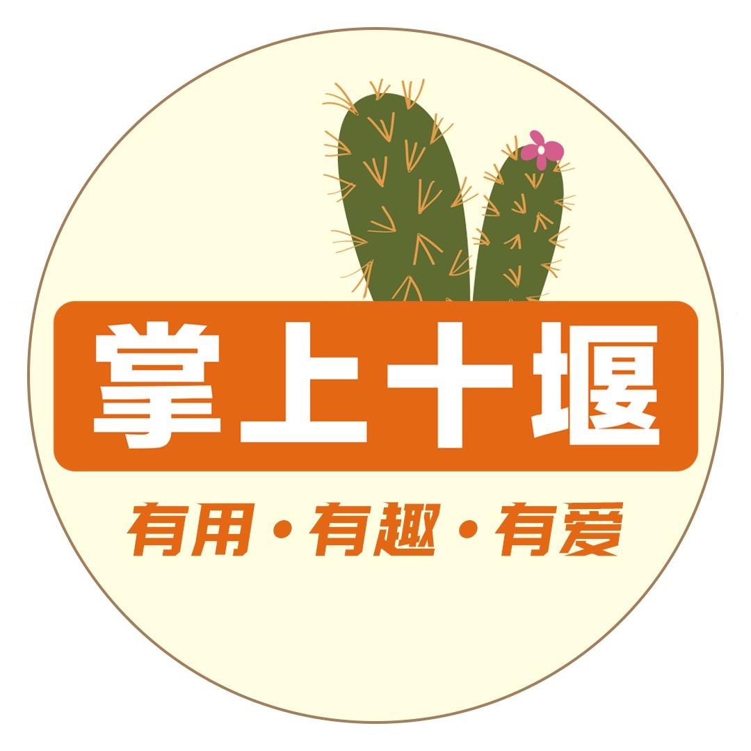 掌上十堰V
