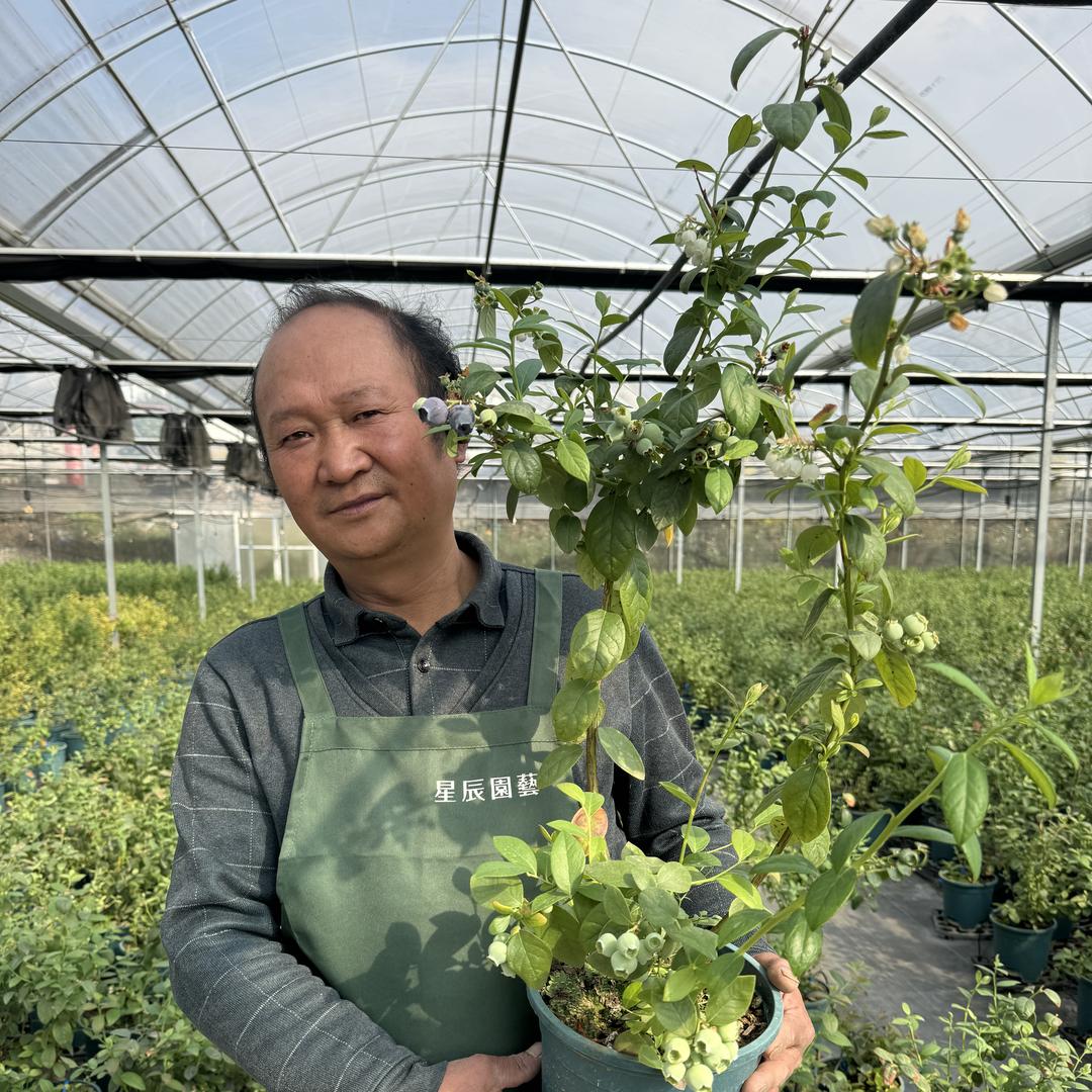 壹分皿星辰专卖店