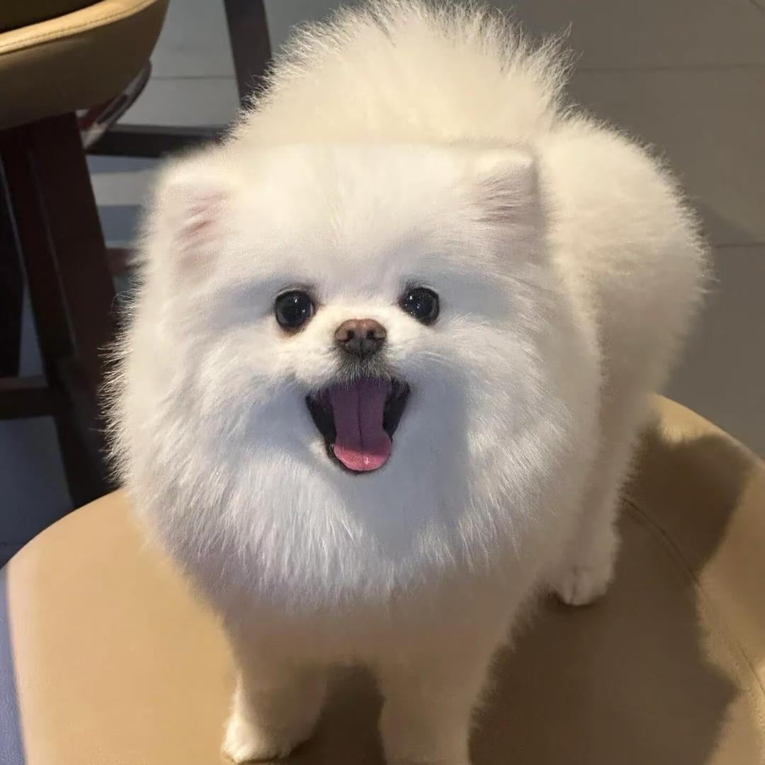wooaq