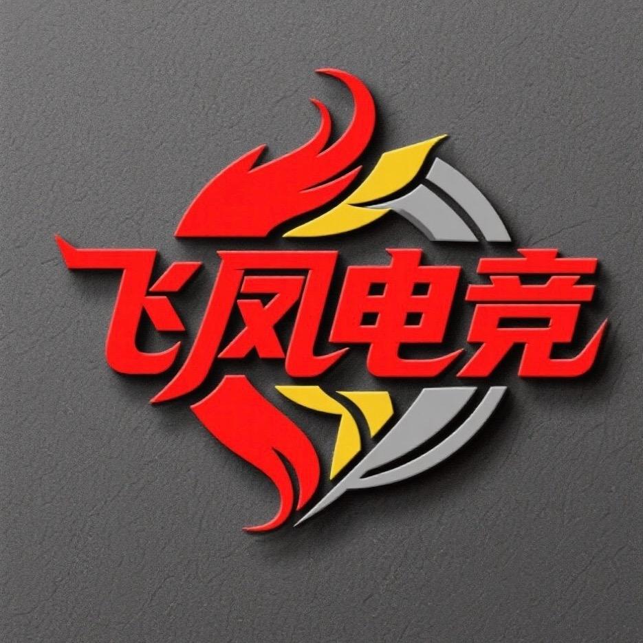 飞凤电竞