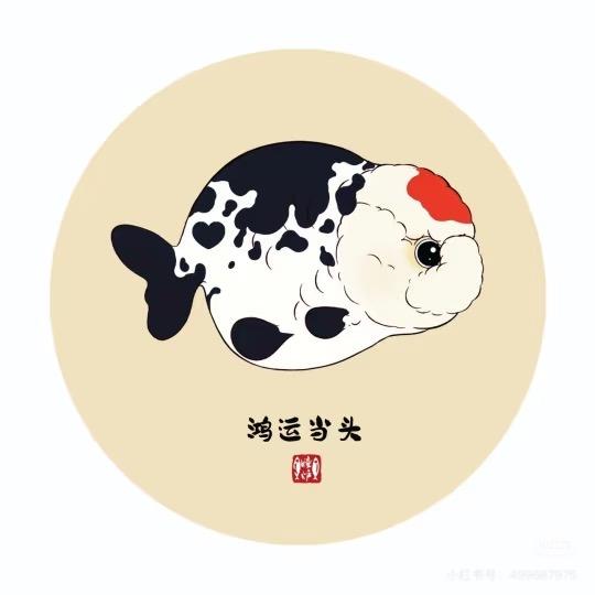 阳阳兰寿