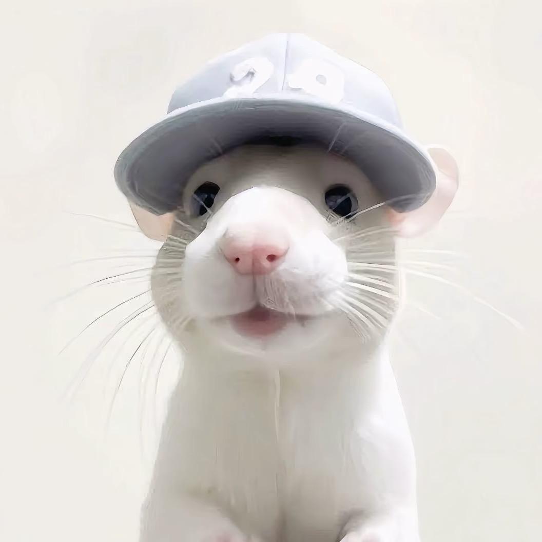 泡泡糖
