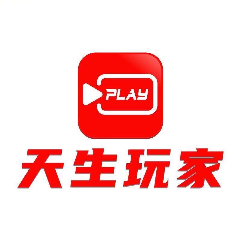 双百古筝工厂店