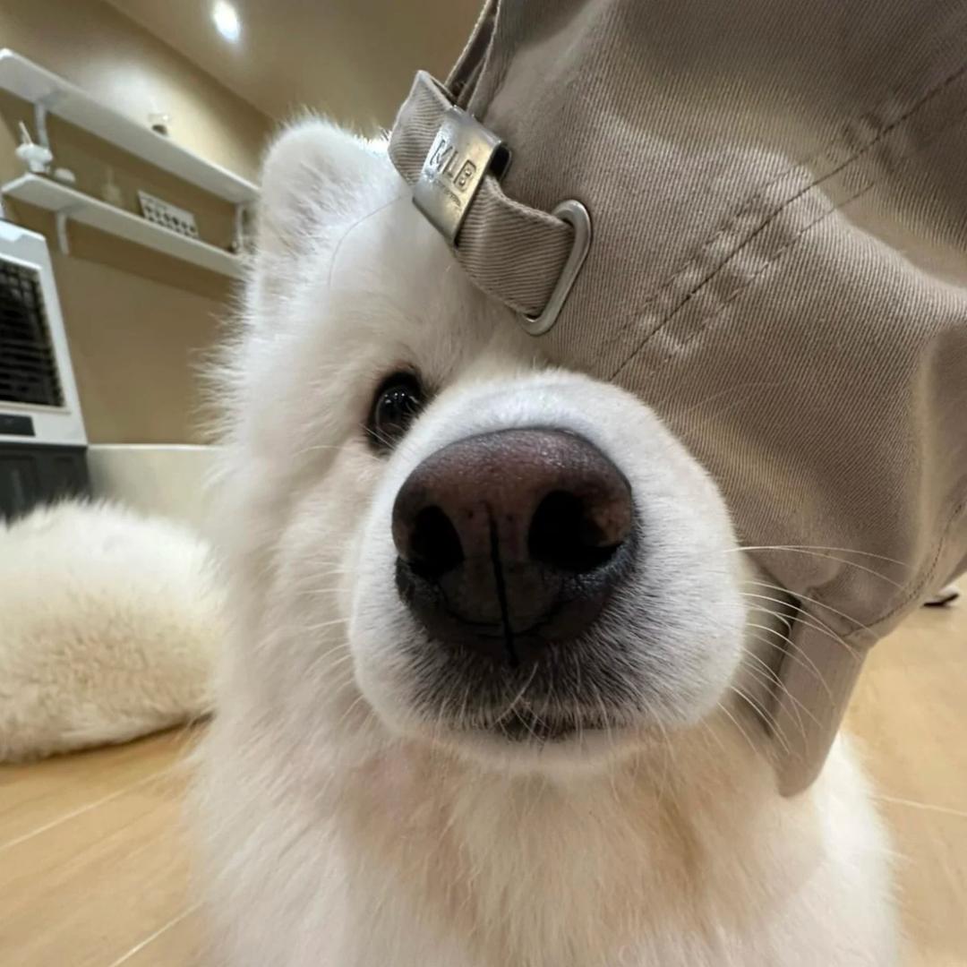 那又如何