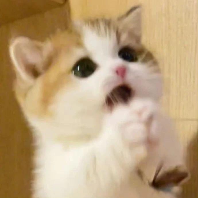 歪歪羊