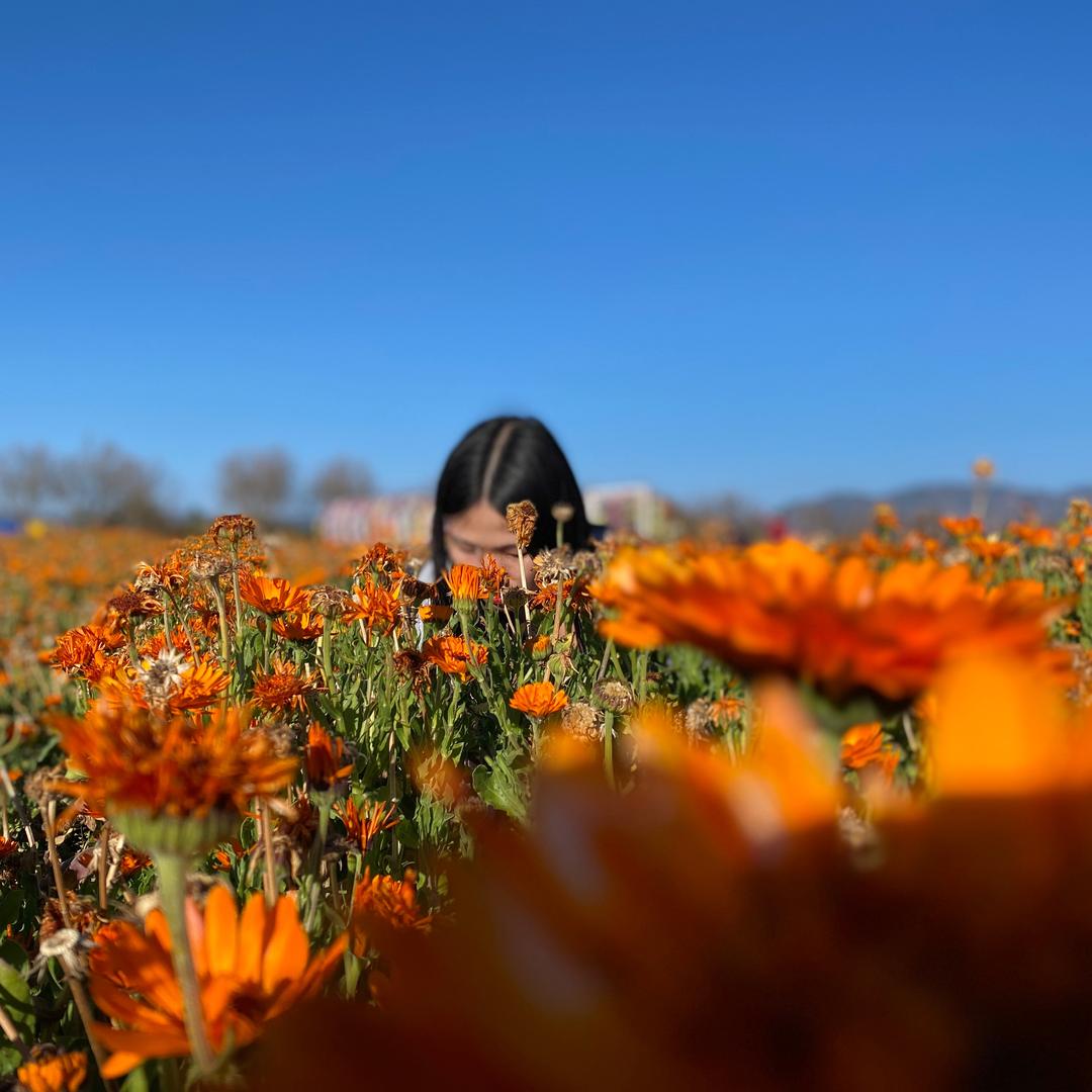 小雨的车舱实验室