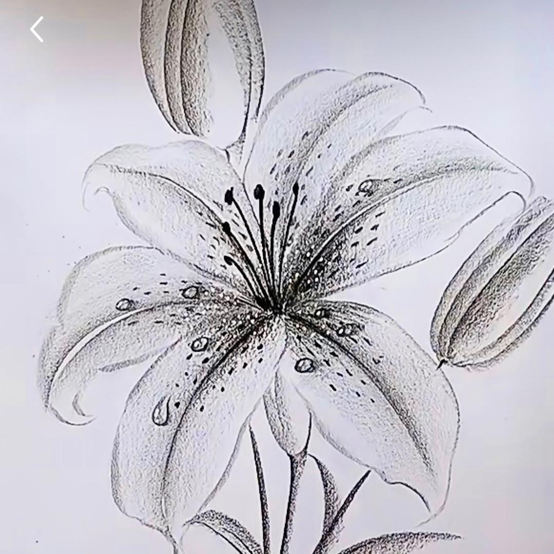 浅墨爱画画