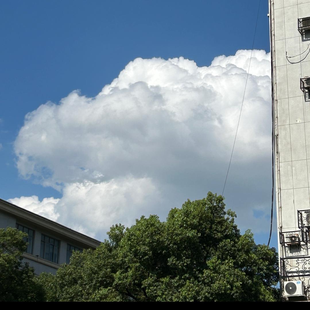经典版植物大战僵尸