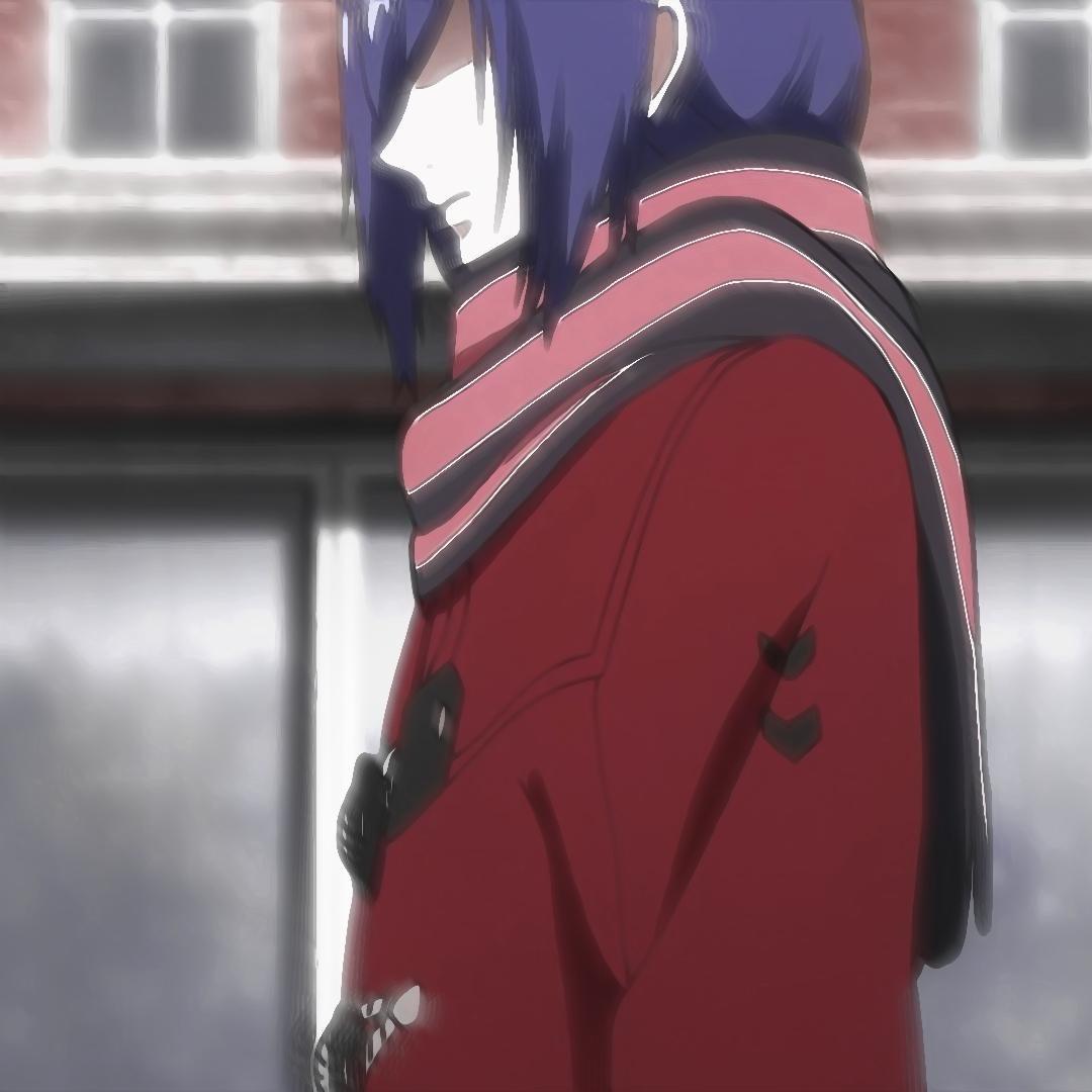 鸽子