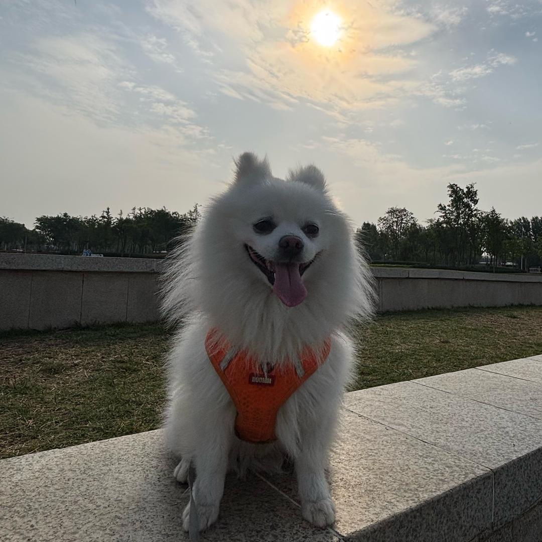 ꧁₉言♥️语₉꧂