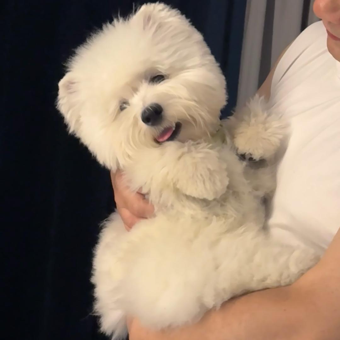 小鲨不吃鱼