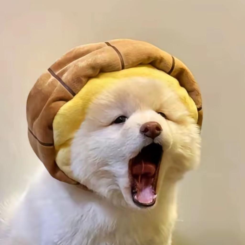 小Z