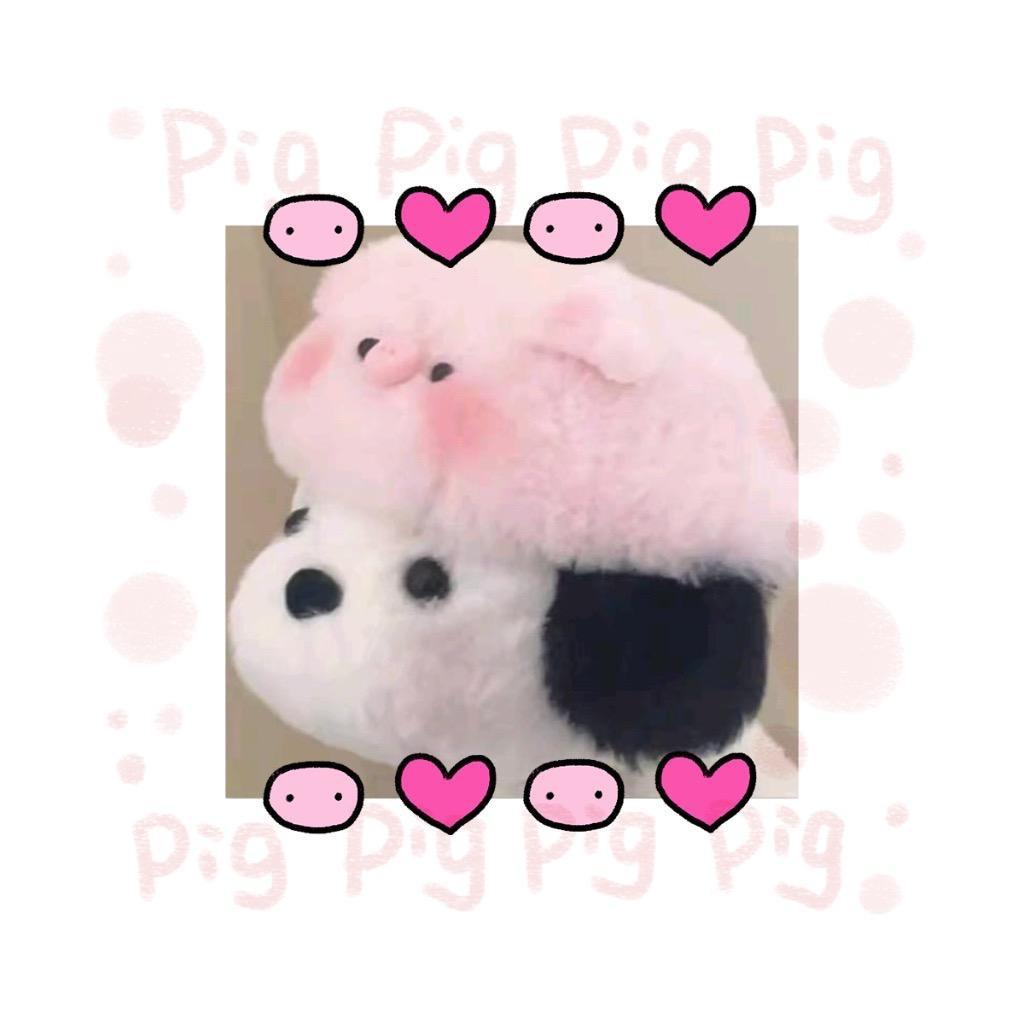 🐽小黑🍓MM🐷