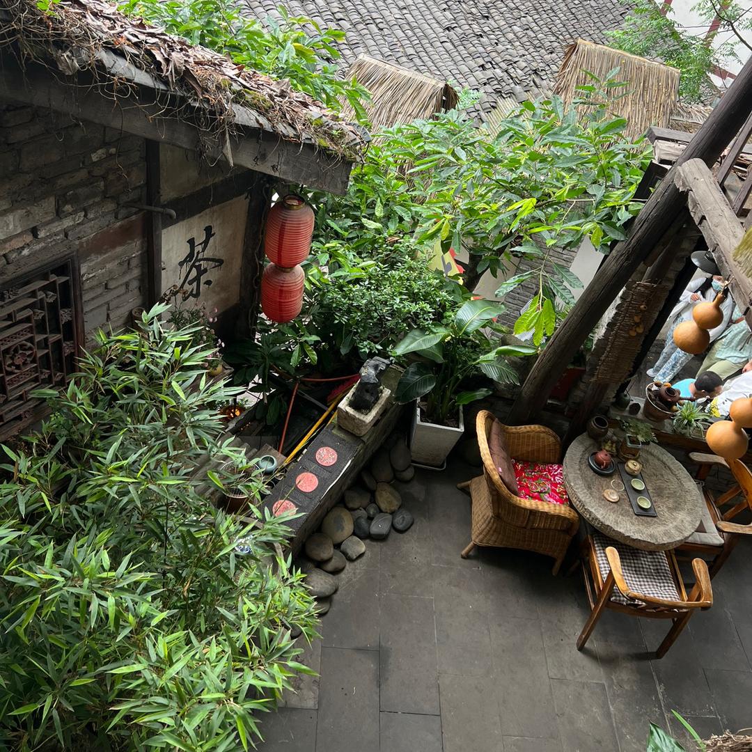—杨豆豆